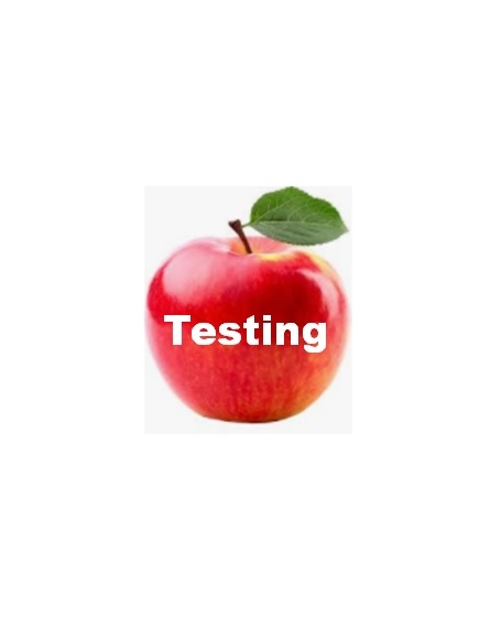 TESTING